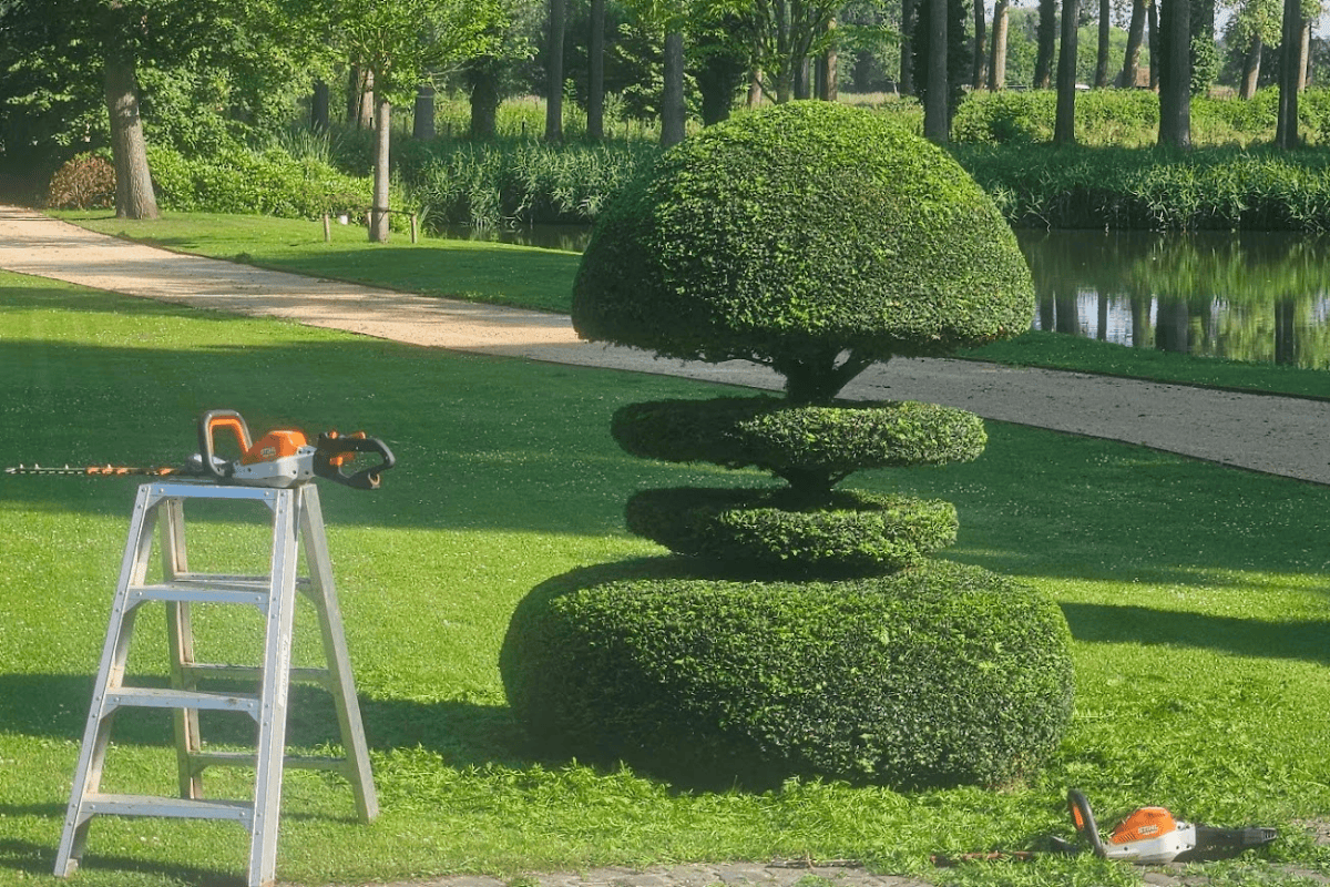 Ontwerp zonder titel - 2025-05-22T135547.410