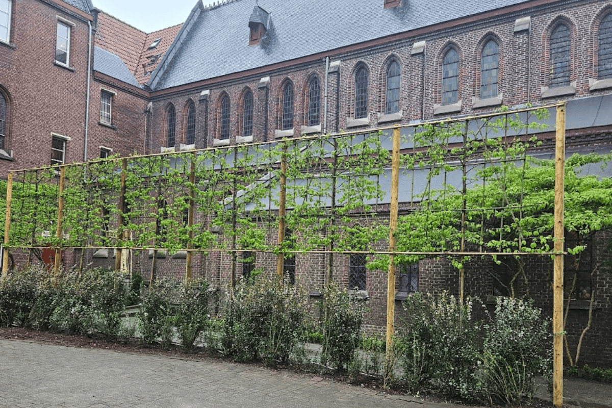 Ontwerp zonder titel - 2025-05-22T141227.099